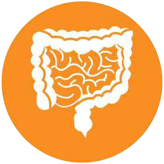 關(guān)注職場“腸”態(tài)，守護(hù)員工健康——上海格瑞特特邀消化內(nèi)科專家公益系列講座（4）(圖4)