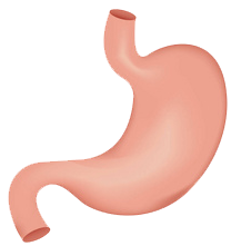 關(guān)注職場“腸”態(tài)，守護(hù)員工健康——上海格瑞特特邀消化內(nèi)科專家公益系列講座（4）(圖9)